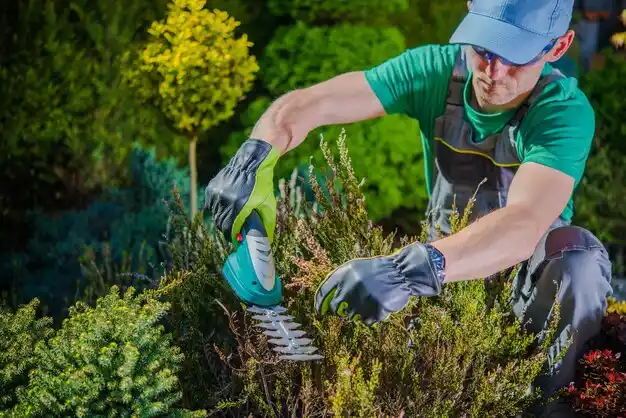 landscaping services Barataria